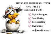 Funny Spring Bird Clipart, an Illustration by OK Design (Thumbnail 6 of 6)