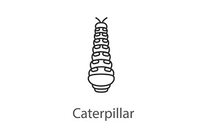 Caterpillar Linear Icon