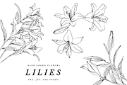 Lilies and Lotus Florals, an Object Graphic by VictoriaKStudio (Thumbnail 1 of 10)