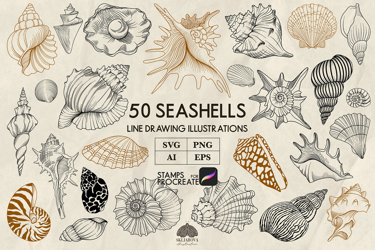 Seashells line art + Procreate, an Animal Illustration by Skliarova (Photo 1 of 3)