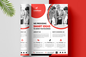 Professional Flyer Template