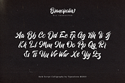 Brancifolia, a Script Font by ilhamtaro (Thumbnail 7 of 11)