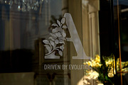 Floral Alphabet, Frames, Decors Set, a Decorative Illustration by Vector beauty (Thumbnail 2 of 13)