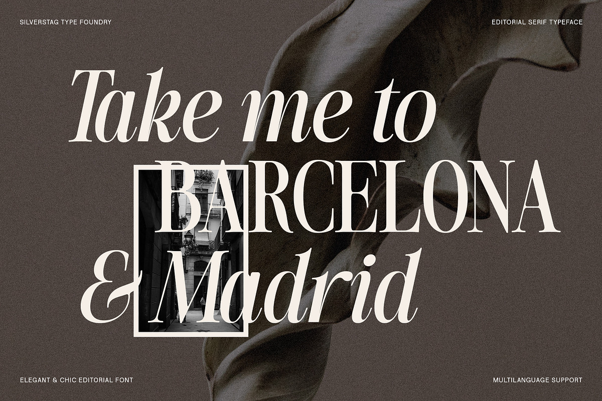 The Silver Editorial - 18 Fonts Pack, a Serif Font by SilverStag Type Foundry (Photo 22 of 30)