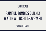 Varserif Font Family, a Serif Font by Alphabet Agency (Thumbnail 10 of 16)
