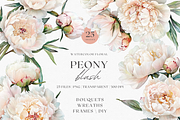Peony Blush - Watercolor, a Decorative Illustration by ThaismotaCreativeCo (Thumbnail 1 of 11)