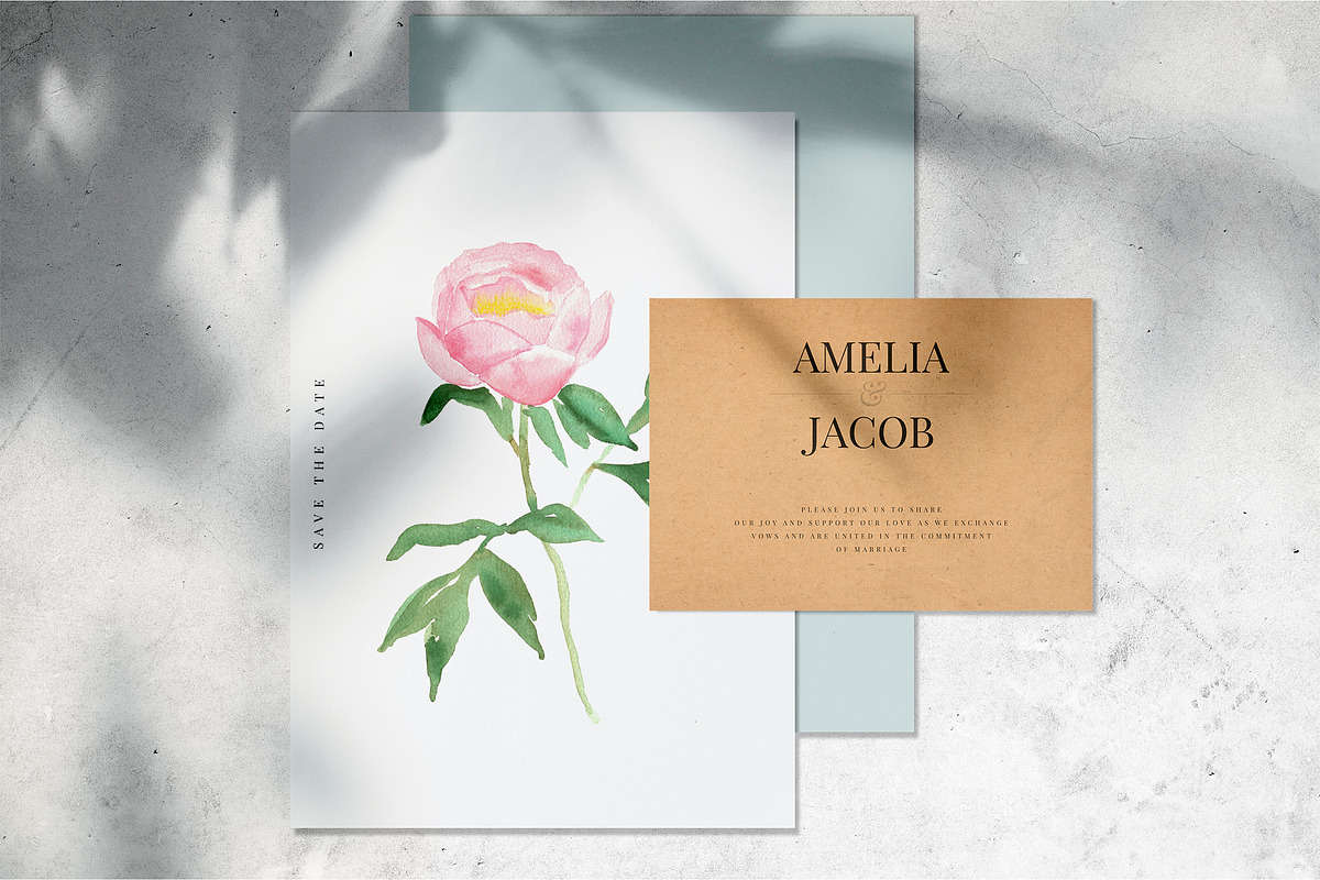 Watercolor peonies, an Object Graphic by Anastasia Timosch (Photo 5 of 9)