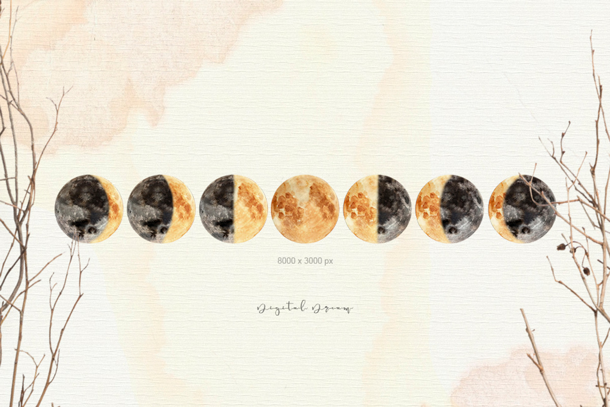 MOON MAGIC, a Decorative Illustration by DigitalDream (Photo 7 of 20)