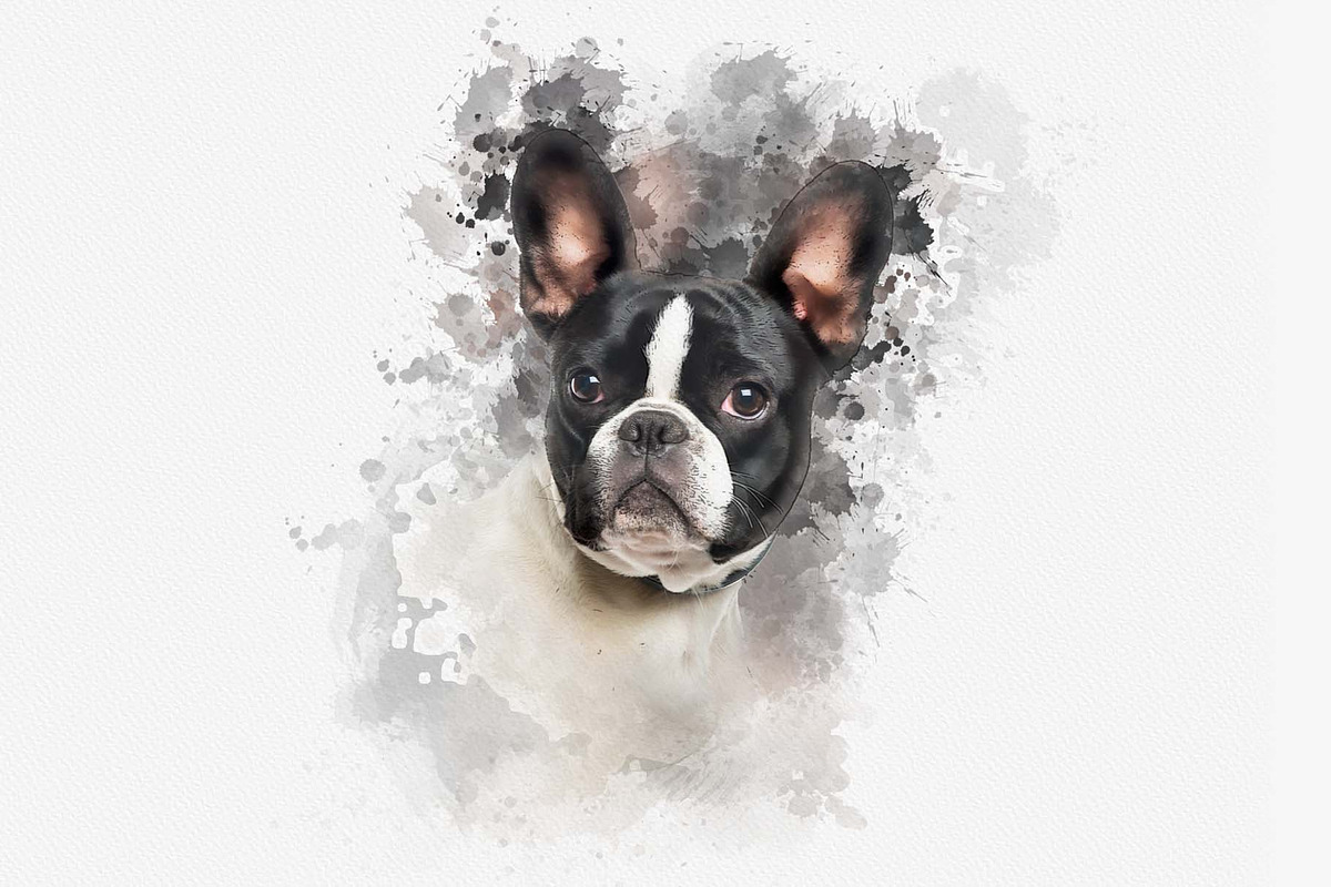 Best Photoshop actions for portraits, an Action Add-On by MRI STUDIO (Photo 6 of 18)