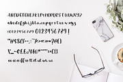 Blossomance Handwritten Font, a Font by typeflair (Thumbnail 5 of 5)