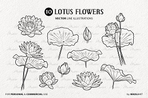 Lotus Flower Vector Line Art Set