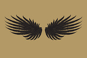 160 Pairs of Vector Wings, an Object Graphic by Damien (Thumbnail 5 of 17)