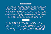 Tropics Sometimes Beaches, a Script Font by stylishtype.co (Thumbnail 14 of 15)