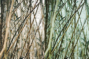 10 Vintage Avocado Lightroom Presets, a Preset Add-On by LucaTheme (Thumbnail 4 of 7)