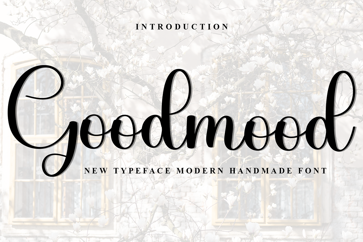 Goodmood, a Handwritten Font by InermediaSTUDIO (Photo 1 of 8)