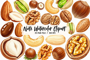 Nuts Watercolor Clipart, an Illustration by Libby Wishes