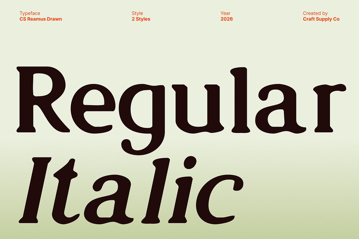 CS Reamus Drawn, a Serif Font by Craft Supply Co. (Photo 4 of 8)