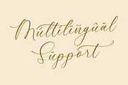 Rumaysa Chambert Luxury Script, a Serif Font by Storytype Studio (Thumbnail 12 of 16)