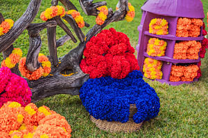 Colorful floral decorations and