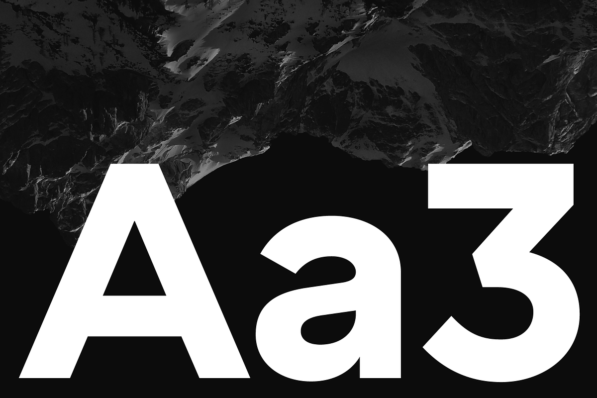 Chesna Grotesk, a Sans Serif Font by Horizon Type Foundry (Photo 3 of 19)