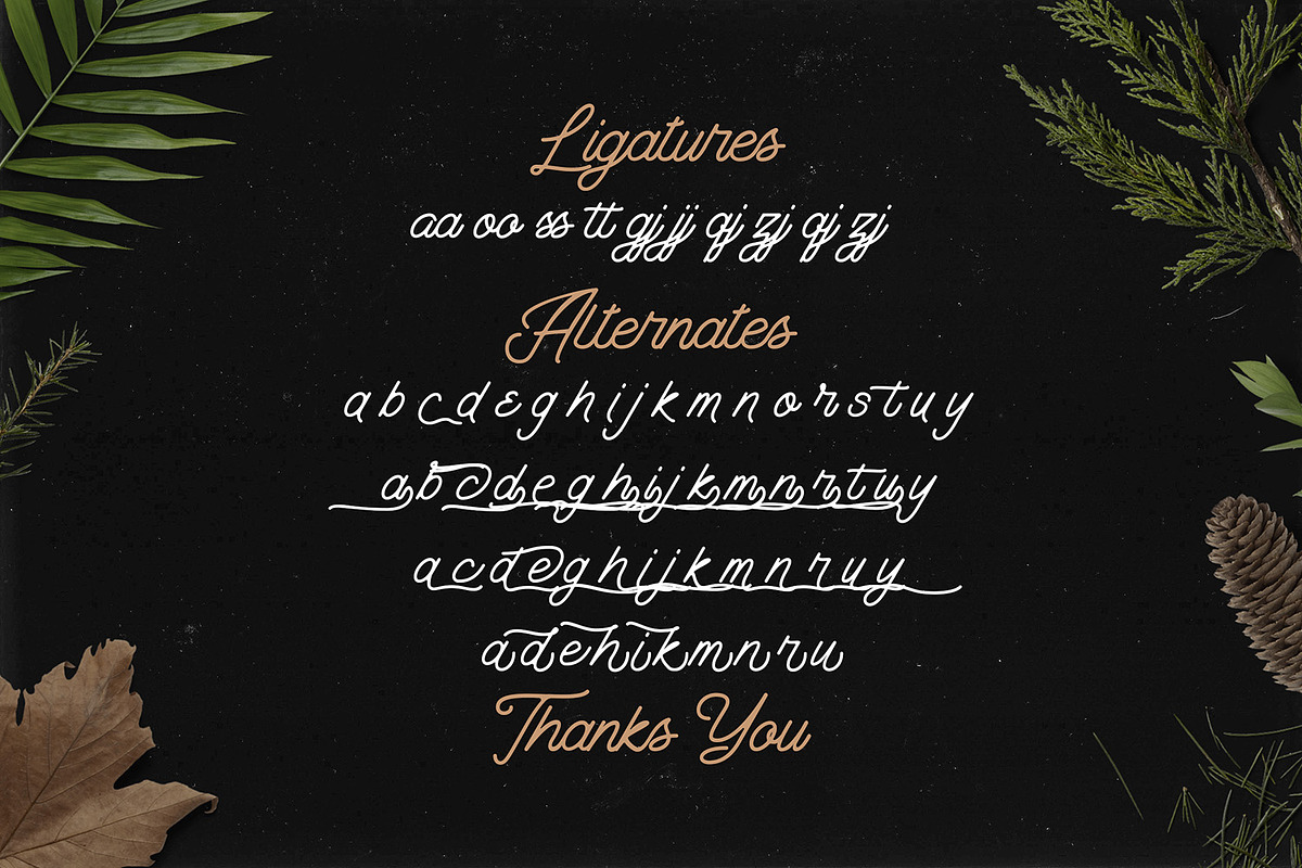 The Banten - Monoline Script Font, a Script Font by StringLabs (Photo 12 of 12)