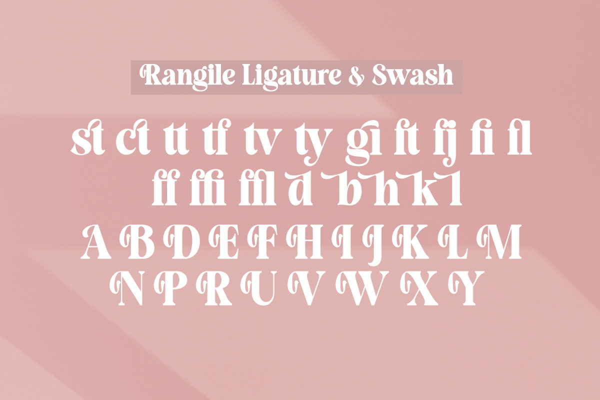 Rangile, a Serif Font by studiobasic (Photo 9 of 10)