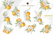 Watercolor citrus orange clipart, an Illustration by MariGraphic boutique (Thumbnail 4 of 10)