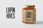 RODGE - Unique Display Headline Font, a Sans Serif Font by Designova® (Thumbnail 3 of 12)