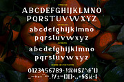 Veronika Display Font, a Serif Font by Cut Story (Thumbnail 13 of 14)