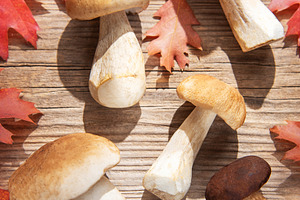 Porcini mushrooms with red autumn leaves on wooden table, a Food & Drink Photo by Olena Rudo