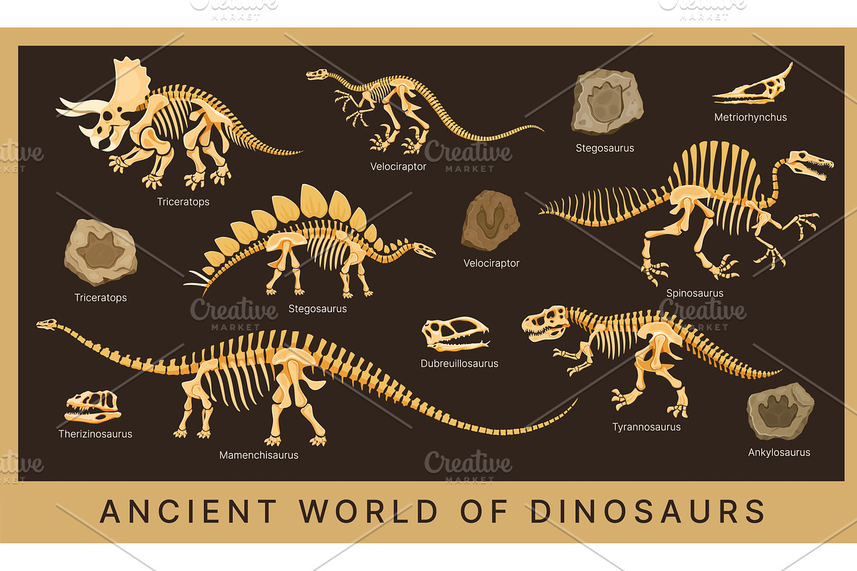 Dino poster with dinosaur fossils, an Animal Illustration by Vector Tradition