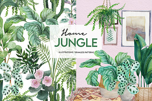 Home Jungle