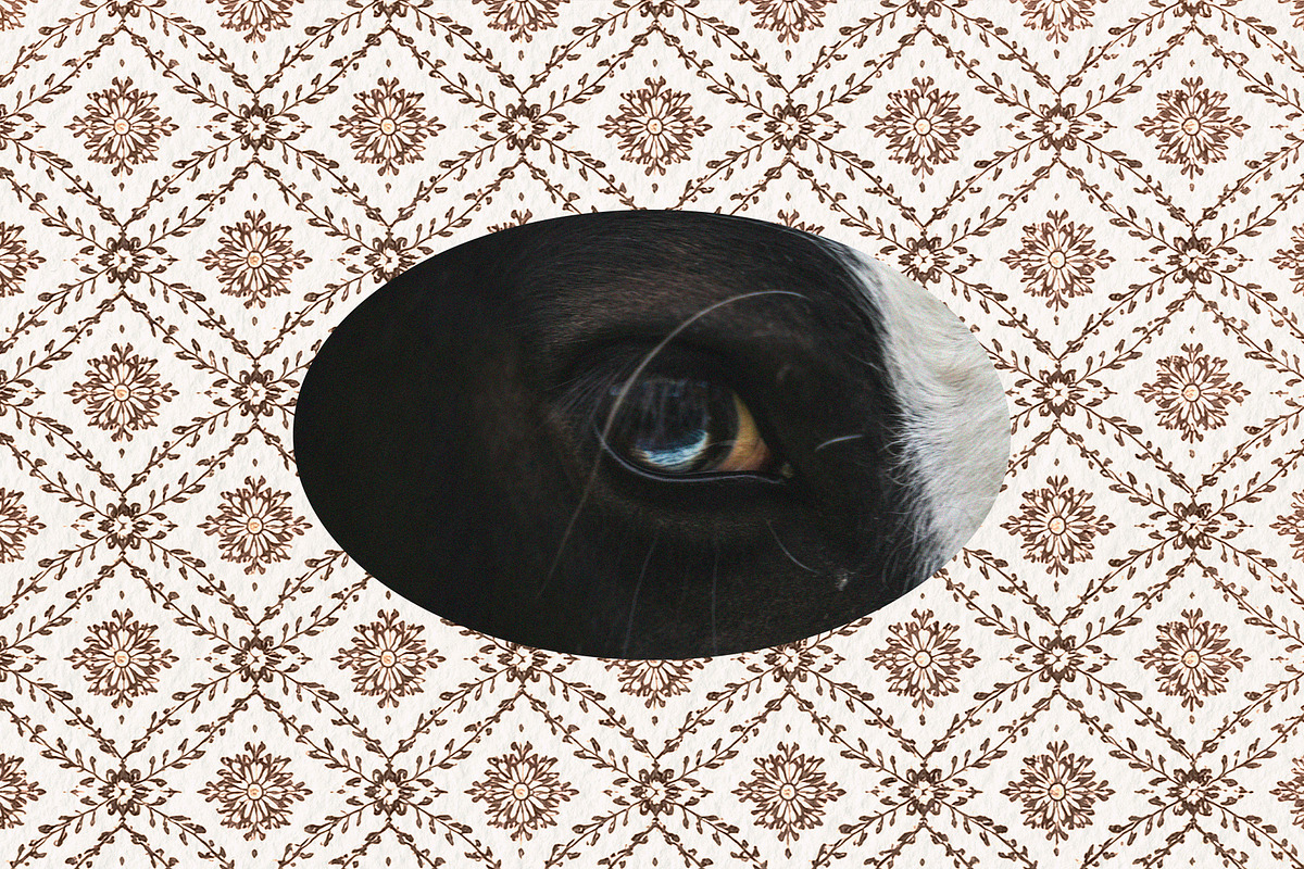 4 in 1: Cottagecore Print Bundle, a Background Graphic by Lidberia (Photo 16 of 17)