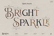 Berita, a Serif Font by Aluyeah Studio (Thumbnail 12 of 15)