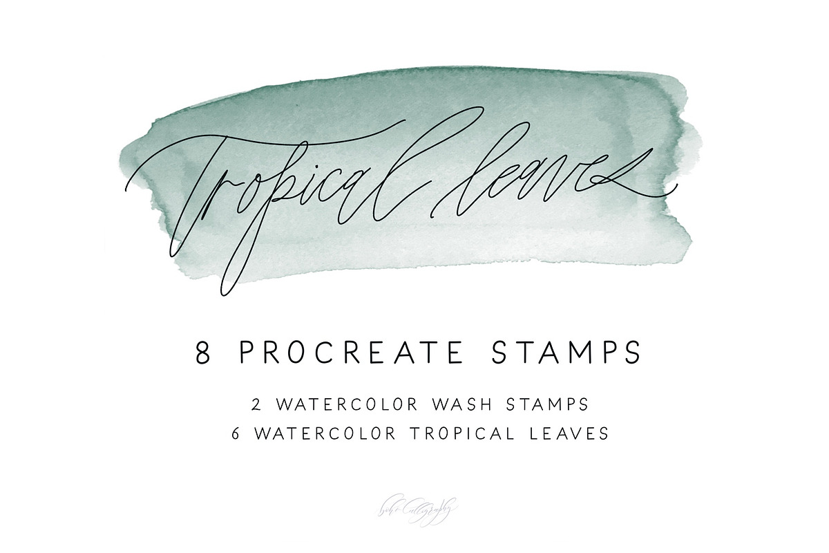 Procreate Watercolor leaves Stamps, a Shape Add-On by BohoCalligraphy (Photo 1 of 3)
