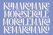Kenora Groovy Retro Serif Font, a Serif Font by timelesstype.co (Thumbnail 8 of 20)
