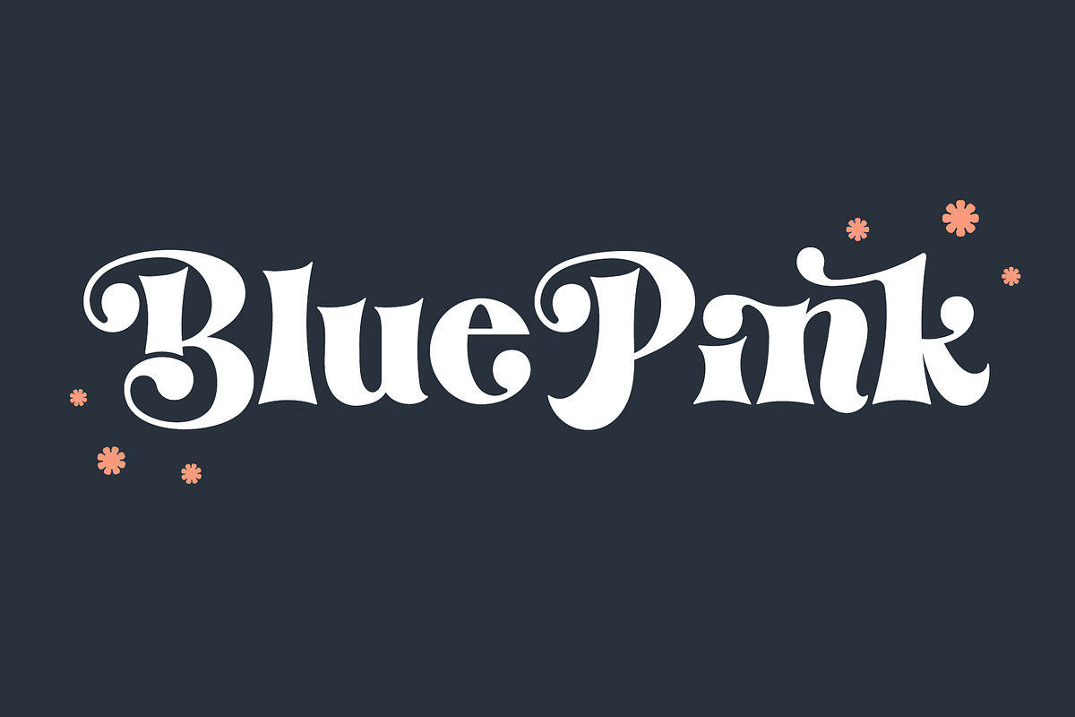 Retro Dingo - Modern Vintage Serif, a Serif Font by Airotype (Photo 4 of 12)
