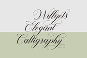 Willgets, a Script Font by Soft Creative (Thumbnail 6 of 8)