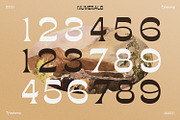 Bougerose a Modern Display Font, a Sans Serif Font by Typetemp Studio (Thumbnail 6 of 16)