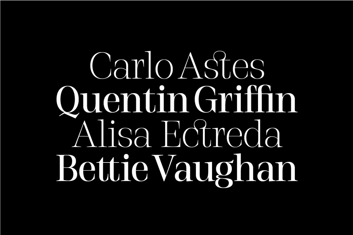 Stigsa Semi Condensed, a Serif Font by Seniors (Photo 2 of 7)