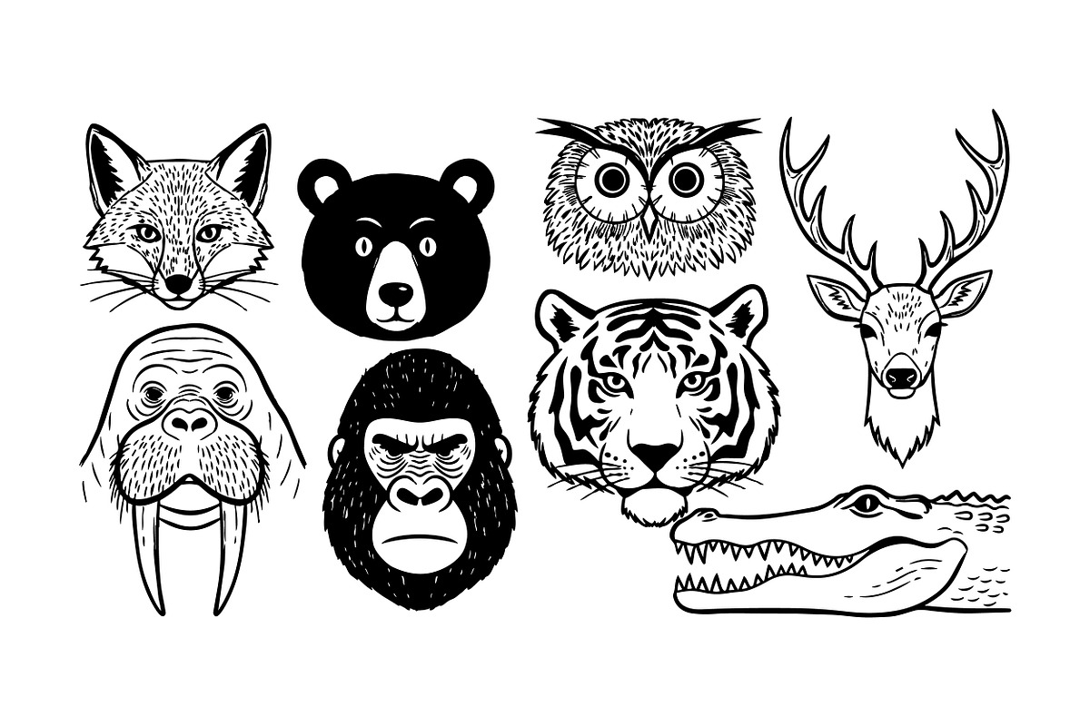 Wild Animal Head Clipart Set, an Illustration by designvectx (Photo 2 of 3)