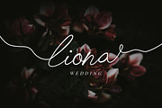 Chick Budapest Signature Font, a Script Font by UICreative (Thumbnail 2 of 5)