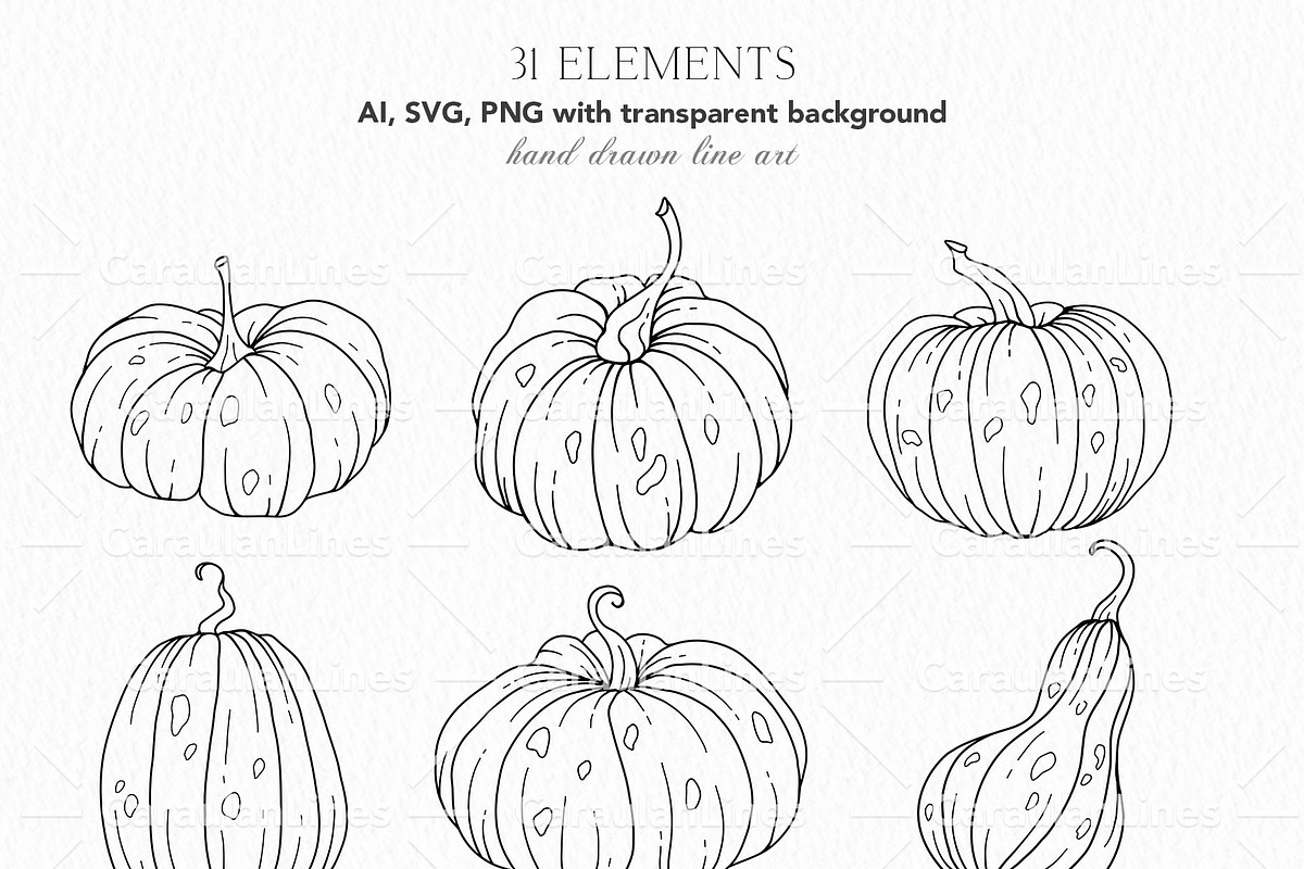 Hand Drawn Pumpkin SVG arrangements, an Object Graphic by CaraulanStore (Photo 4 of 8)