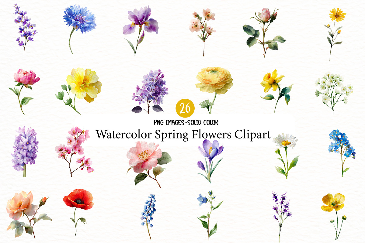 Watercolor Spring Flowers Clipart, an Illustration by Designworld (Photo 1 of 6)
