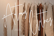 Ameriondela Luxury Classy Font, a Script Font by Maulana Creative (Thumbnail 8 of 11)