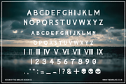 CAPTAIN SALTBEARD, a Serif Font by The Bird Life Design Co. (Thumbnail 4 of 5)