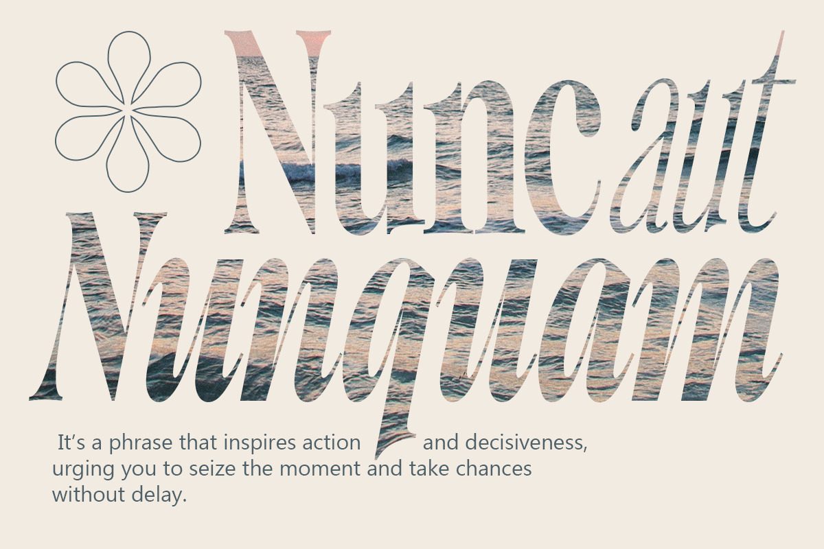 Writer’s Mark Display (81 Fonts), a Serif Font by Positive TypeFoundry (Photo 2 of 15)