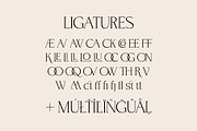BrandNew – Luxury Serif Family, a Serif Font by BilberryCreates (Thumbnail 16 of 16)