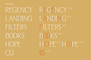 West and Olives (6 fonts + variable), a Font by The Old Type Foundry (Thumbnail 9 of 12)