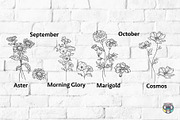 Birth Month Flowers Svg Bundle, an Object Graphic by HeyLenaArts (Thumbnail 6 of 9)